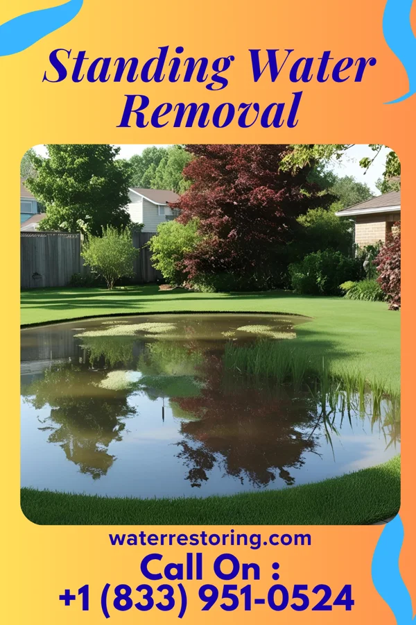 Standing Water Removal in Hastings, PA